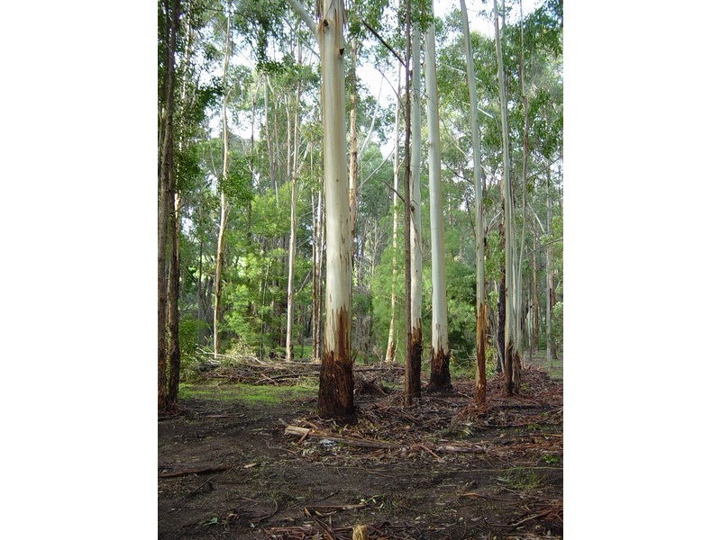 Lot 102 East Nannup Rd, Nannup WA 6275