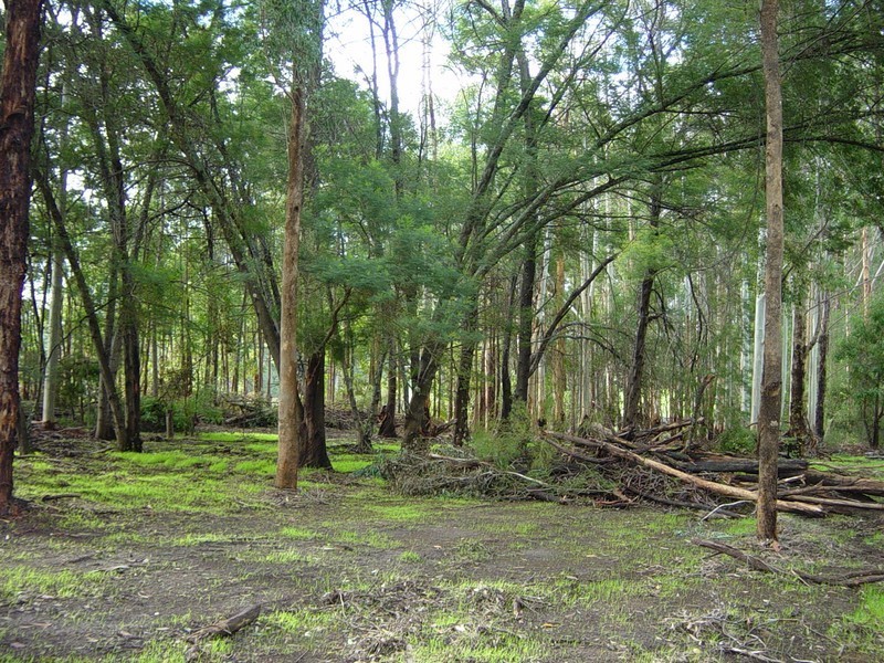 Lot 102 East Nannup Rd, Nannup WA 6275