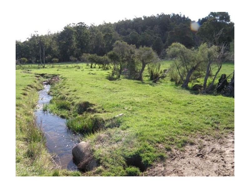 Lot 800 Graphite Rd, Nannup WA 6275