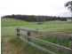 Lot 800 Graphite Rd, Nannup WA 6275