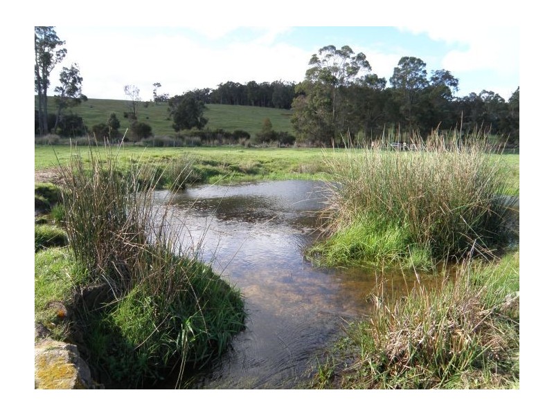 Lot 800 Graphite Rd, Nannup WA 6275