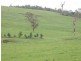 Lot 112 Graphite Rd, Nannup WA 6275