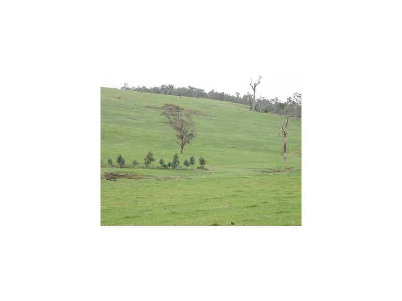 Lot 112 Graphite Rd, Nannup WA 6275