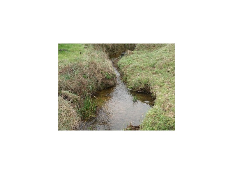 Lot 112 Graphite Rd, Nannup WA 6275