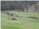 Lot 112 Graphite Rd, Nannup WA 6275