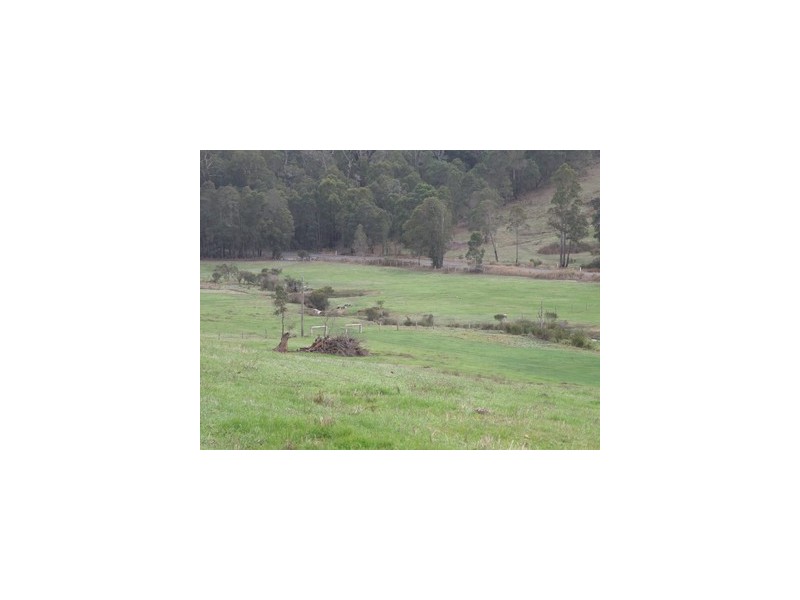 Lot 112 Graphite Rd, Nannup WA 6275