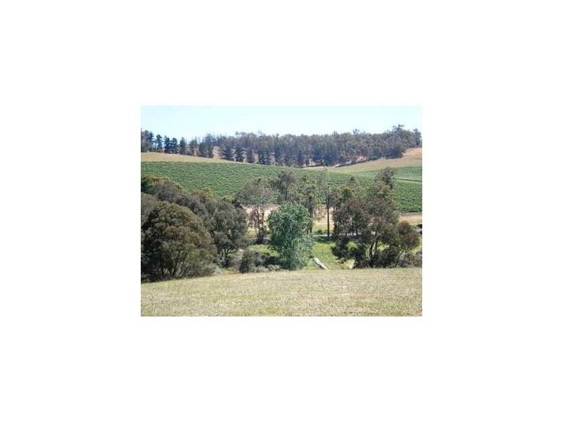Lot 42 East Nannup Road, Nannup WA 6275