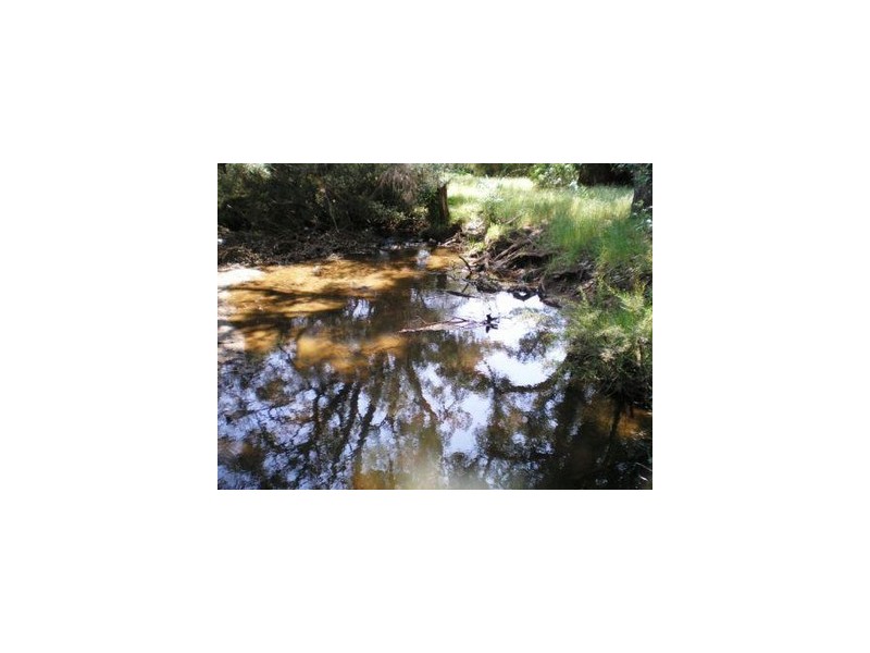 Lot 42 East Nannup Road, Nannup WA 6275