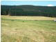 Lot 42 East Nannup Road, Nannup WA 6275