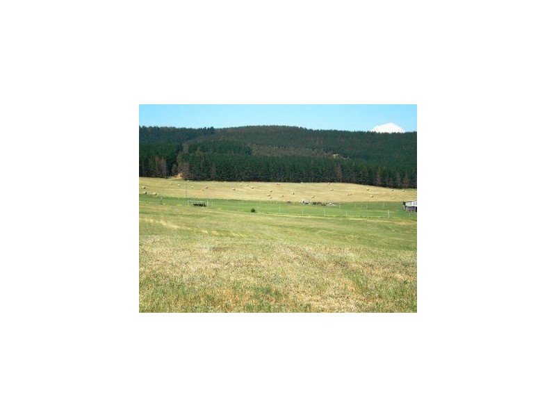 Lot 42 East Nannup Road, Nannup WA 6275