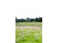 Lot  2/64 Brockman Hwy, Nannup WA 6275