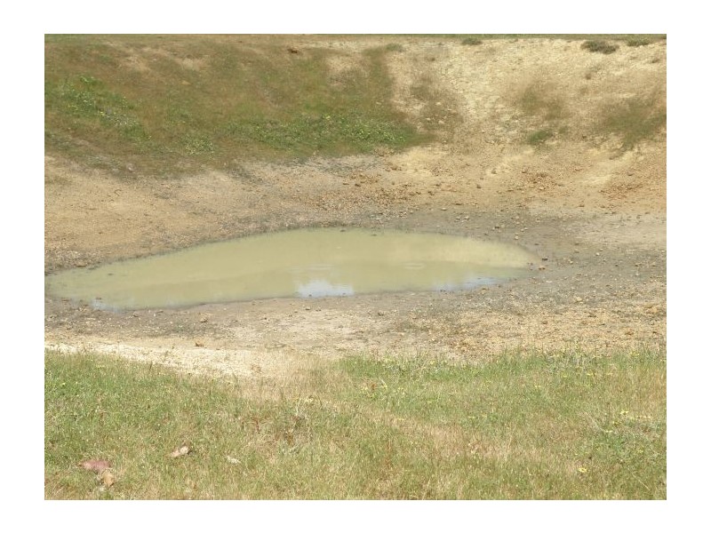 Lot 8 Broardlea Rise, Nannup WA 6275