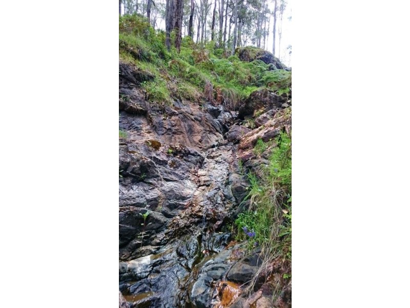 Nannup WA 6275