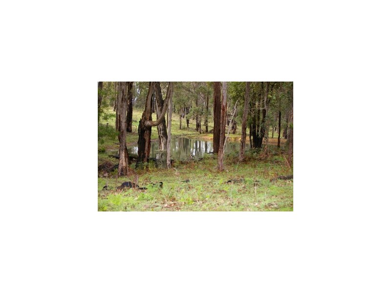 Nannup WA 6275
