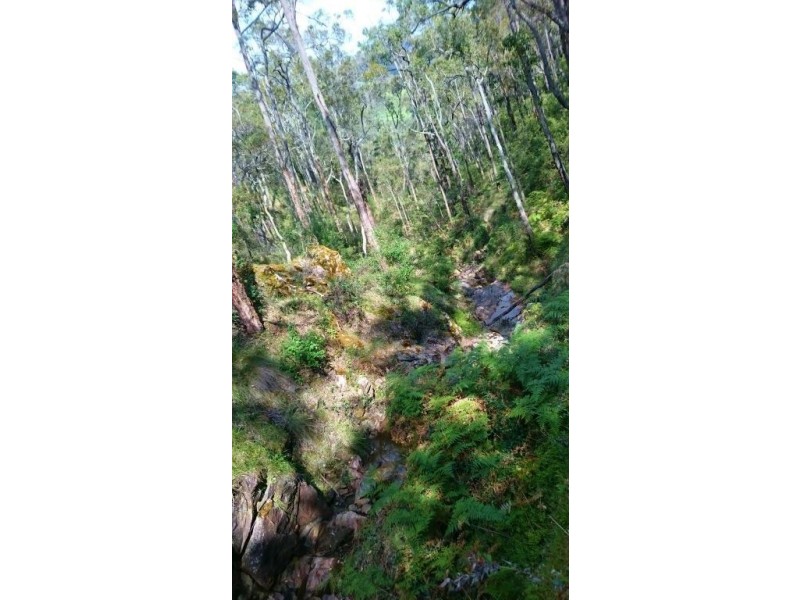 Nannup WA 6275