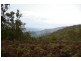 Nannup WA 6275