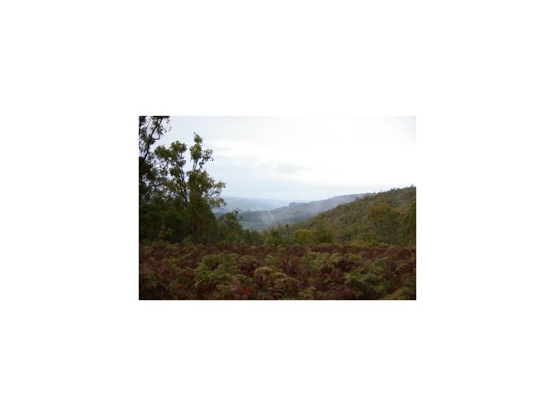 Nannup WA 6275