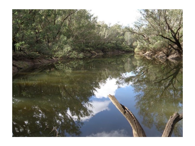 27 Hovea Pl, Nannup WA 6275