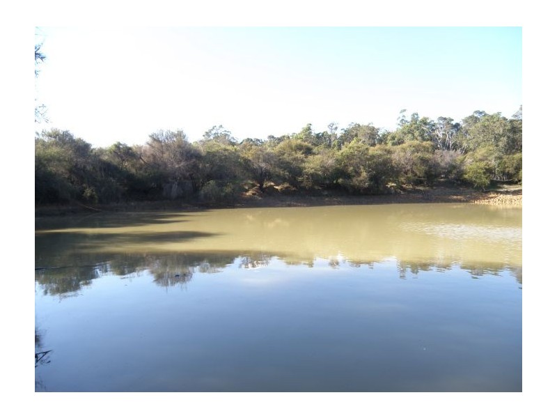 Lot 11166 Guthridge Rd, Nannup WA 6275