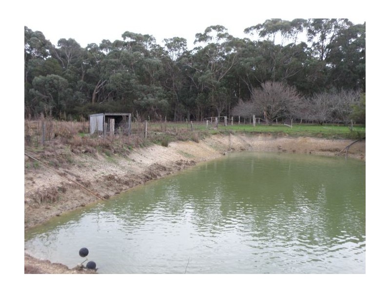 Lot 4280 Milyeannup Coast Rd, Nannup WA 6275