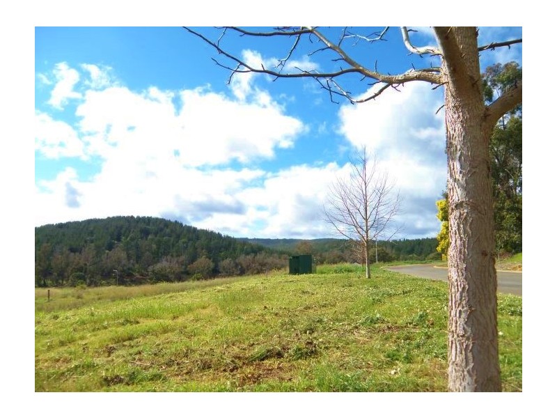 17 Dunnet Rd, Nannup WA 6275