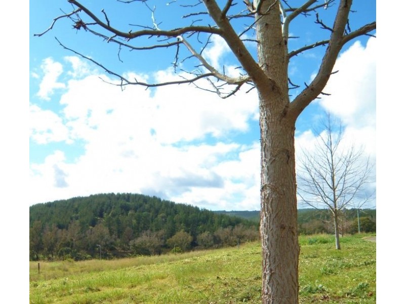 17 Dunnet Rd, Nannup WA 6275