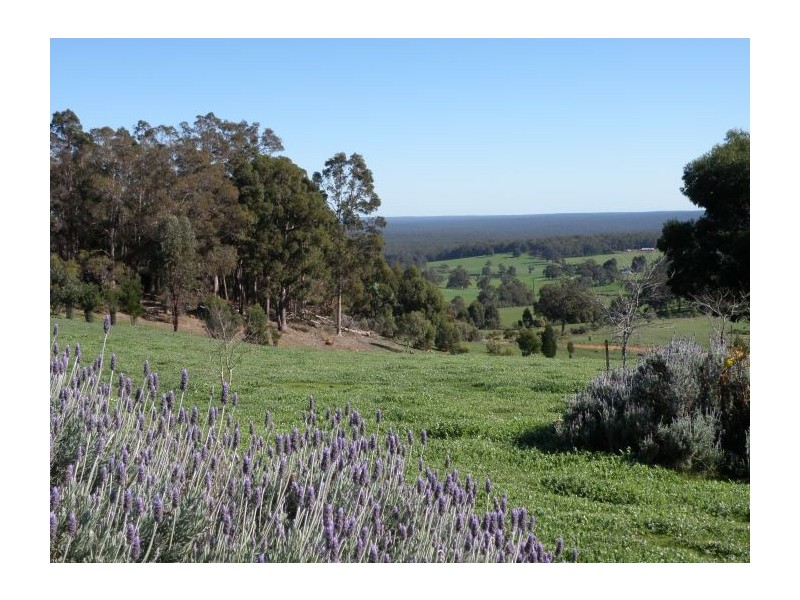 Lot 3 Halleys Road, Nannup WA 6275