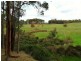 Lot 3 Halleys Road, Nannup WA 6275