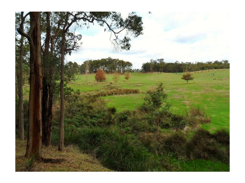 Lot 3 Halleys Road, Nannup WA 6275