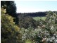 Lot 3 Halleys Road, Nannup WA 6275