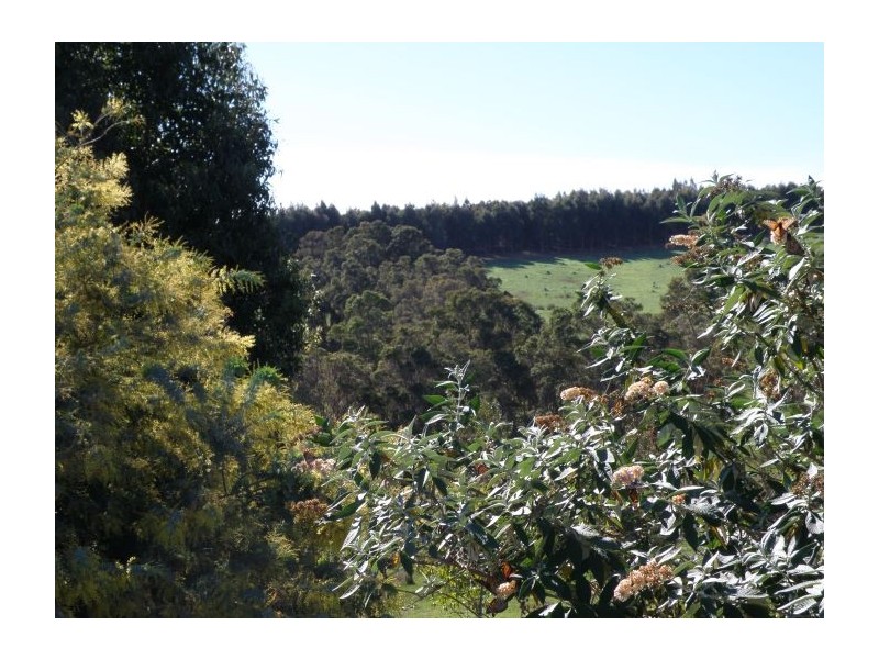 Lot 3 Halleys Road, Nannup WA 6275