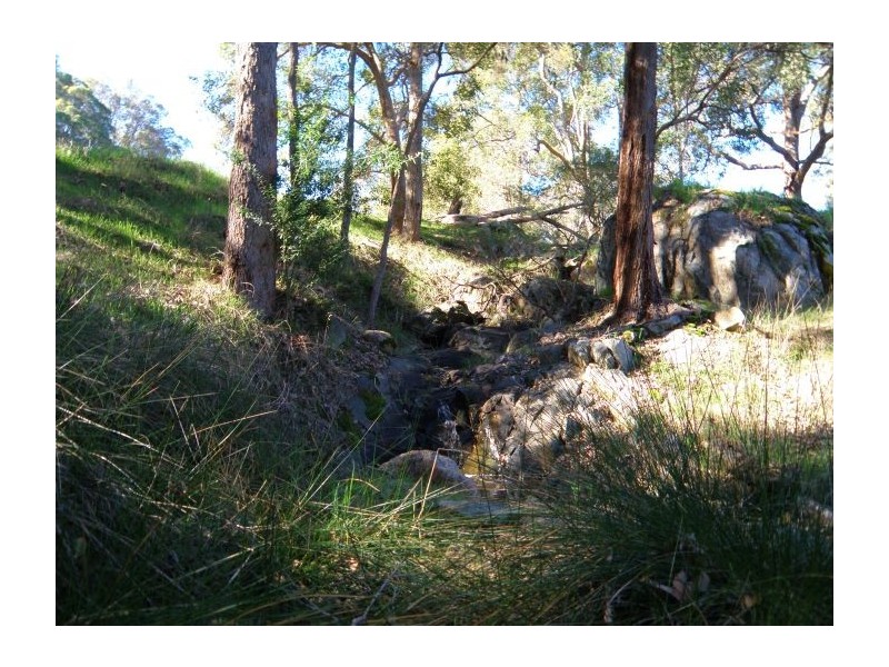 Lot 3 Halleys Road, Nannup WA 6275