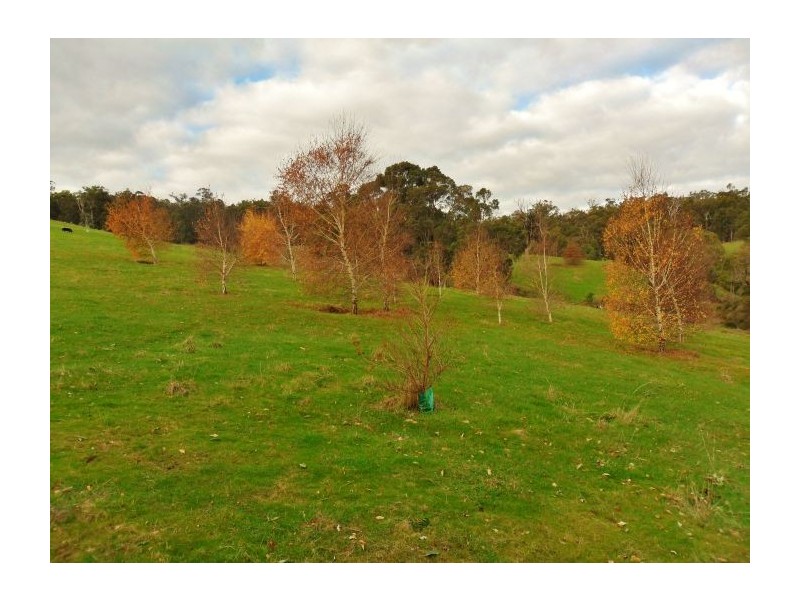 Lot 3 Halleys Road, Nannup WA 6275
