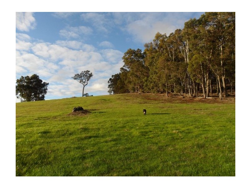 Lot 3 Halleys Road, Nannup WA 6275