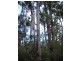 Lot 3a Leschenaultia Drive, Nannup WA 6275