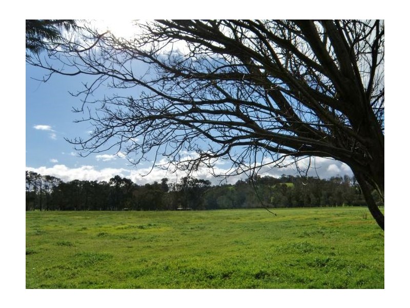 Lot 99 East Nannup Rd, Nannup WA 6275
