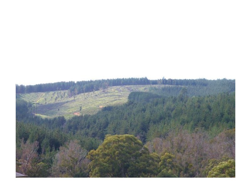 29 Dunnet Rd, Nannup WA 6275