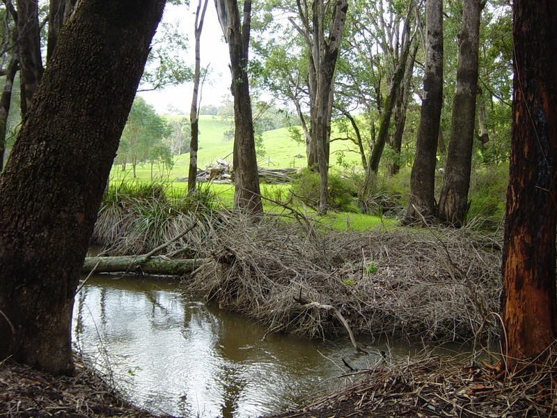 Lot 102 East Nannup Road, Nannup WA 6275
