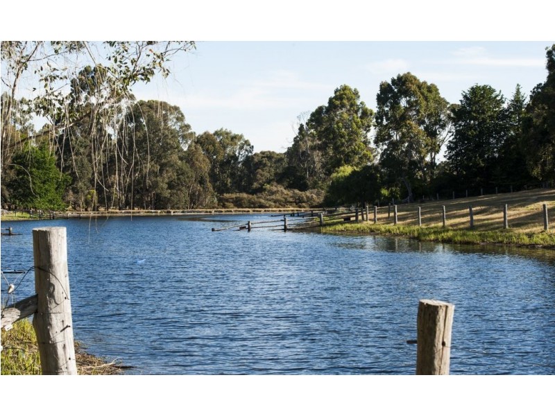 Lot 4036 Vasse Hwy, Nannup WA 6275