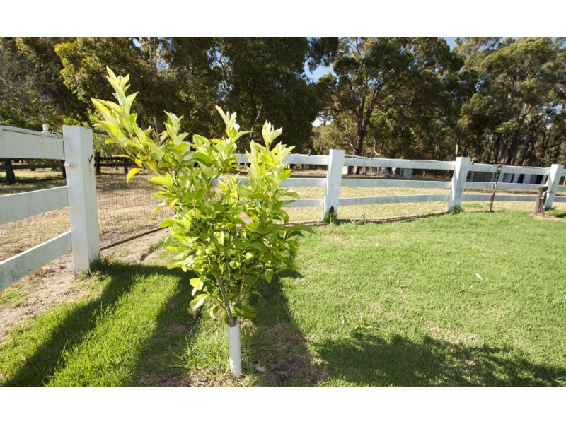 Lot 4036 Vasse Hwy, Nannup WA 6275