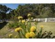 Lot 4036 Vasse Hwy, Nannup WA 6275