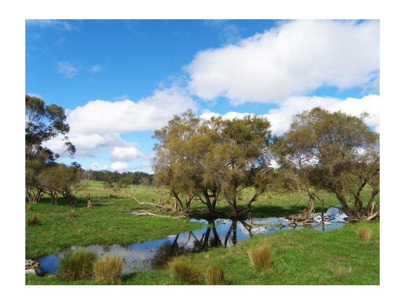 Lot 120 McKelvie Road, Nannup WA 6275