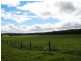 Lot 120 McKelvie Road, Nannup WA 6275