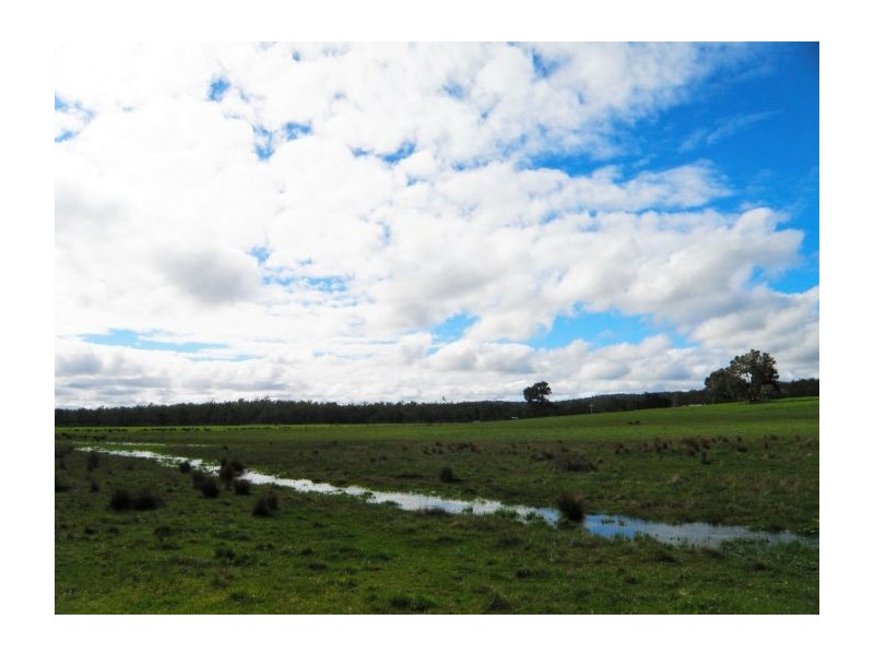 Lot 120 McKelvie Road, Nannup WA 6275