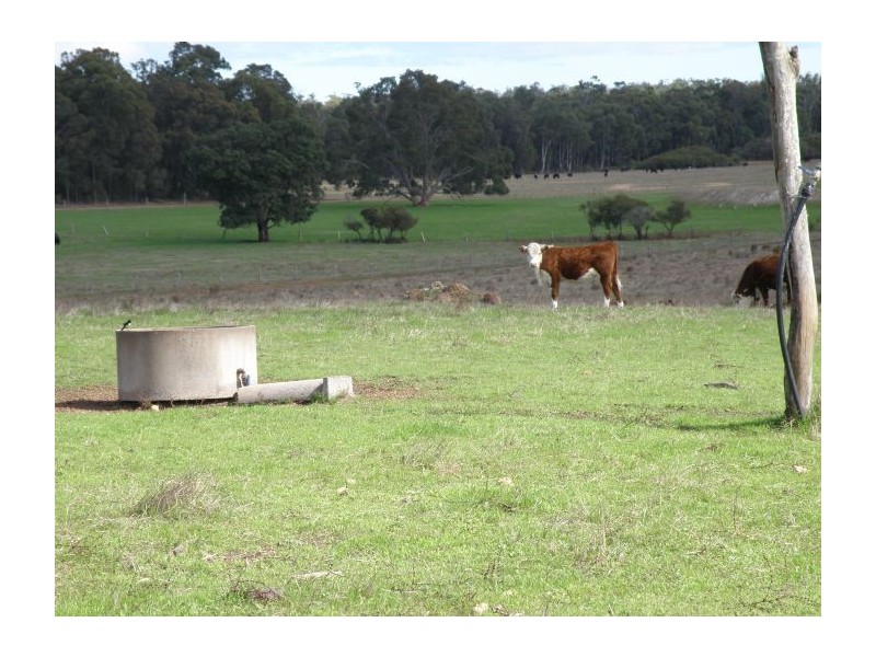 Lot 120 McKelvie Road, Nannup WA 6275