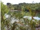 Nannup WA 6275