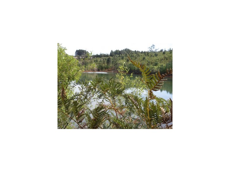 Nannup WA 6275