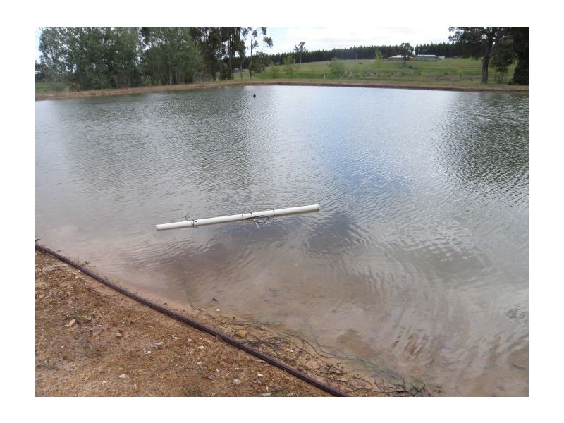 Location 9806 Vasse Hwy, Nannup WA 6275