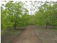 Location 9806 Vasse Hwy, Nannup WA 6275