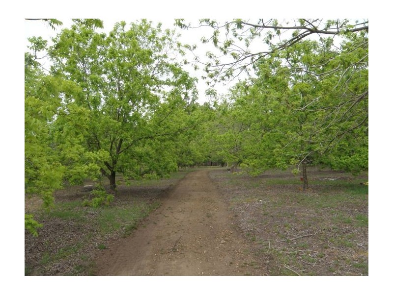 Location 9806 Vasse Hwy, Nannup WA 6275